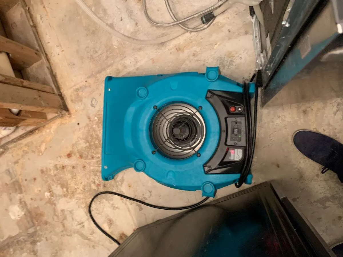 Air mover drying equipment for Mold Remediation & Removal in East Allen